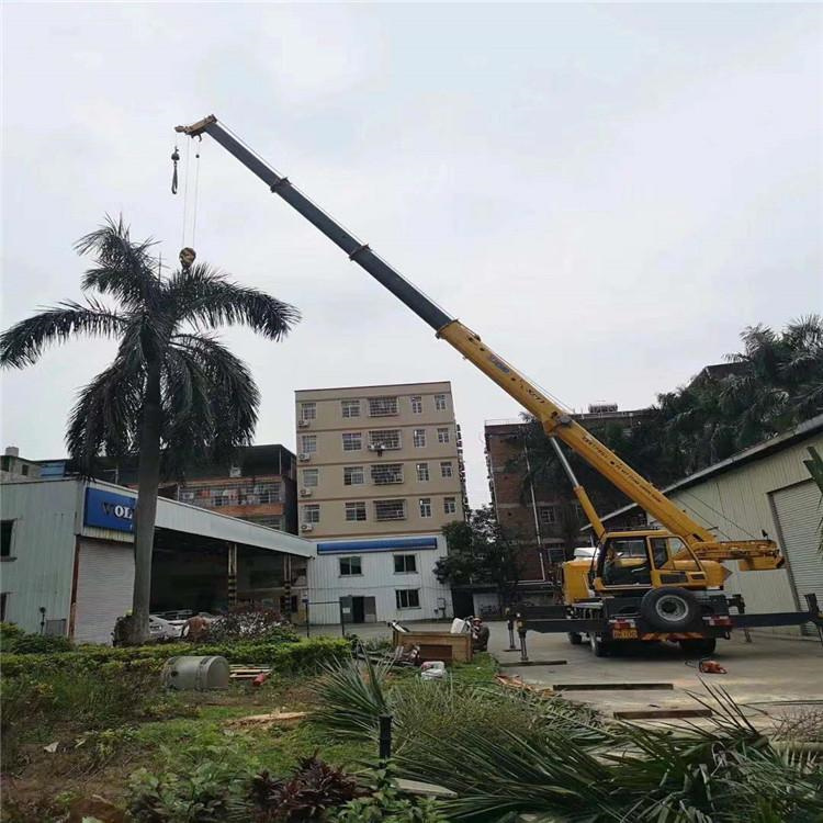 神湾镇树木移栽装卸